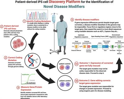 Genome Editing Human Pluripotent Stem Cells to Model β-Cell Disease and Unmask Novel <mark class="highlighted">Genetic Modifiers</mark>